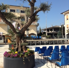 Festa dei Fiori 2016